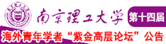 宝贝操我骚穴好大视频南京理工大学第十四届海外青年学者紫金论坛诚邀海内外英才！